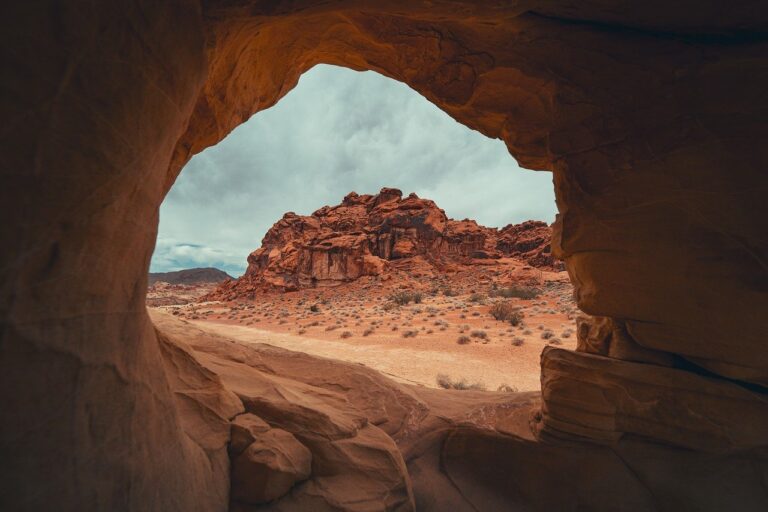 nature-8063737_1280