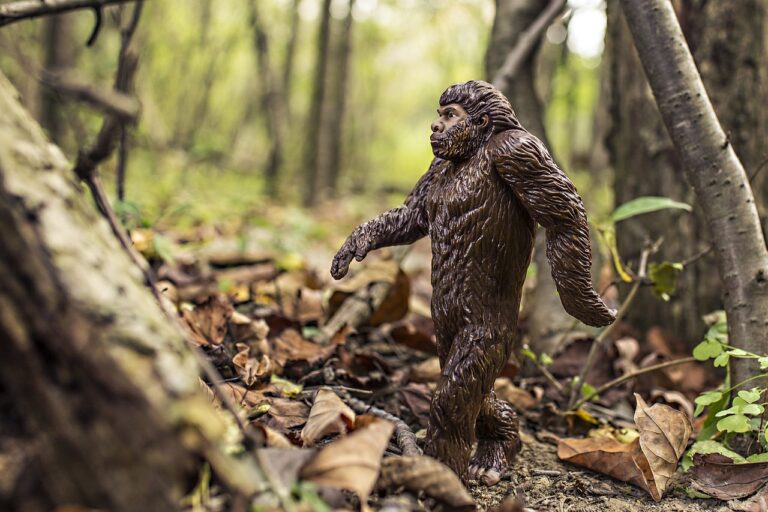 bigfoot-542546_1280