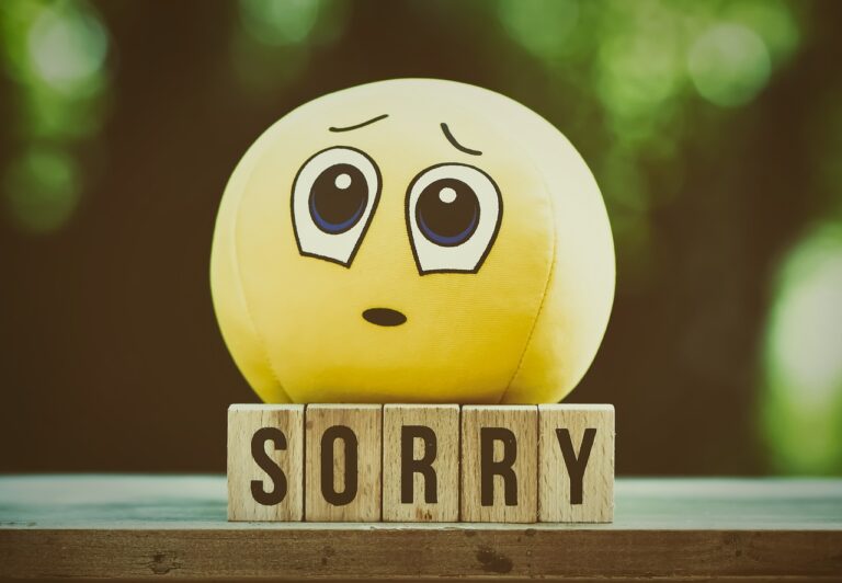 excuse-me-5079442_1280