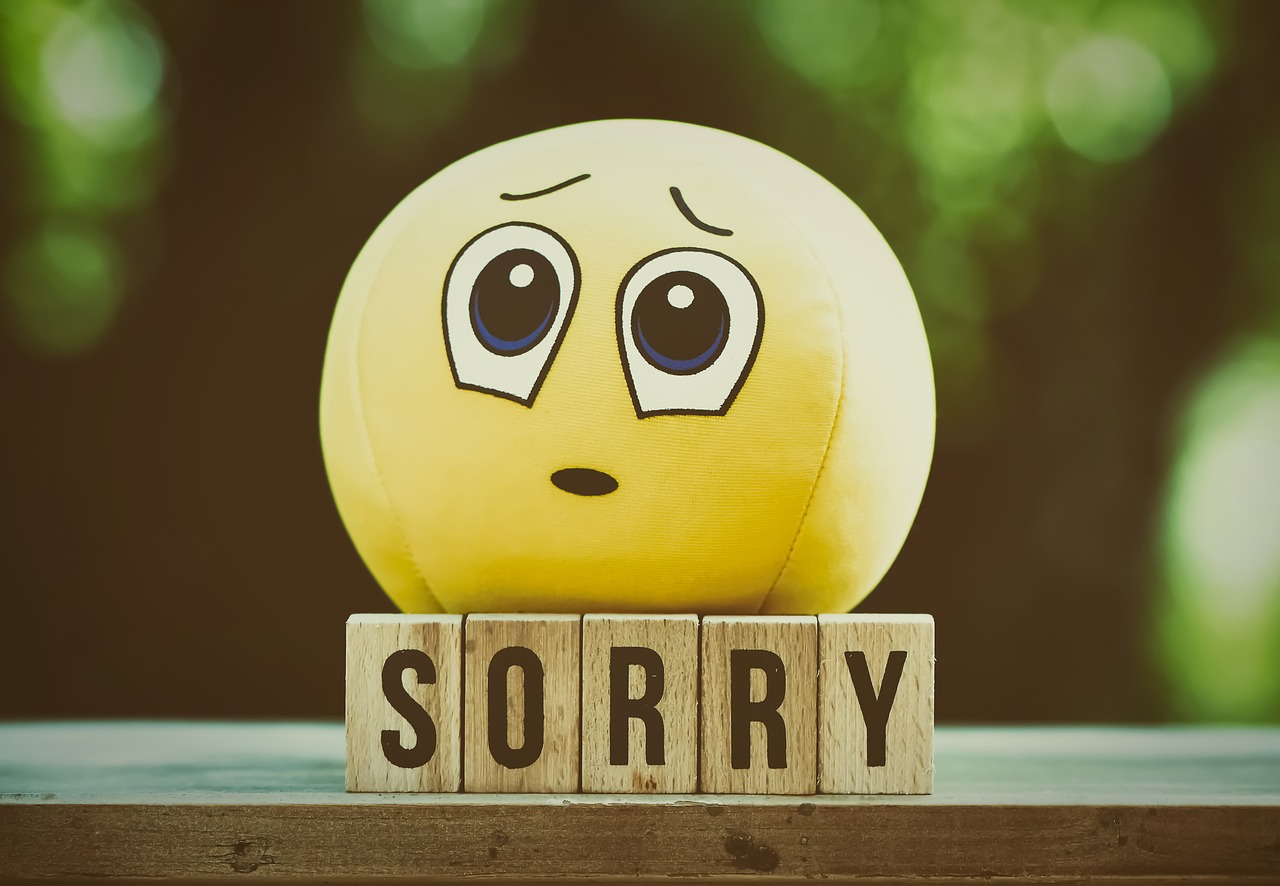 excuse-me-5079442_1280