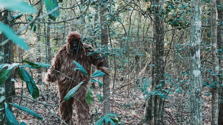 bigfoot-8216790_1280 (2)
