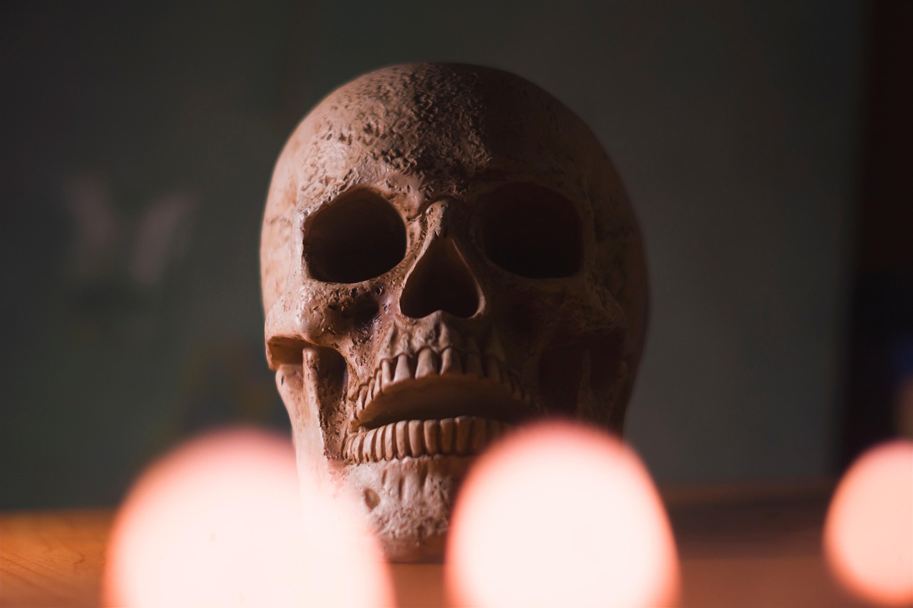 skull-5671571_1280