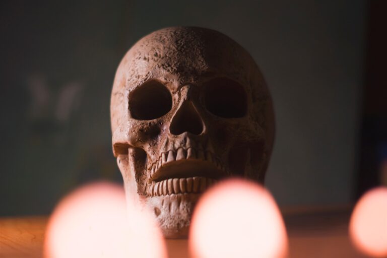 skull-5671571_1280
