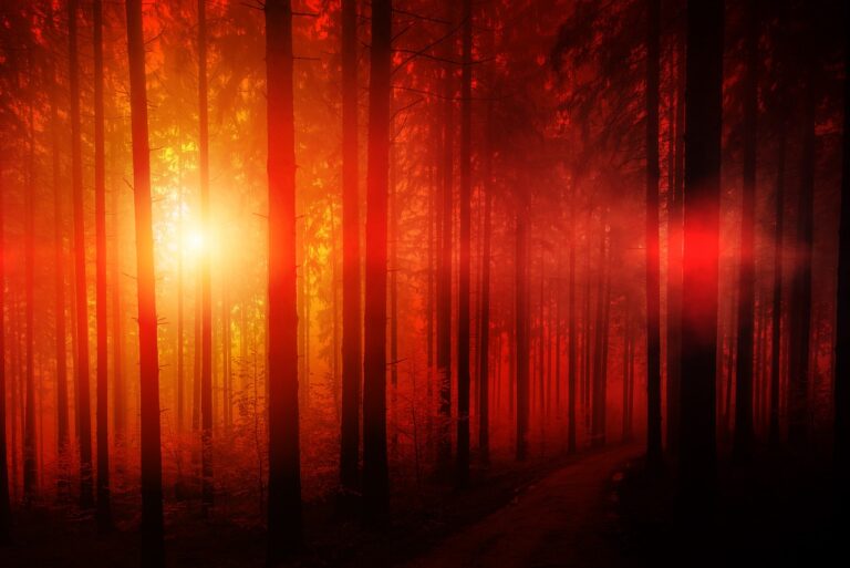sun-4088968_1280