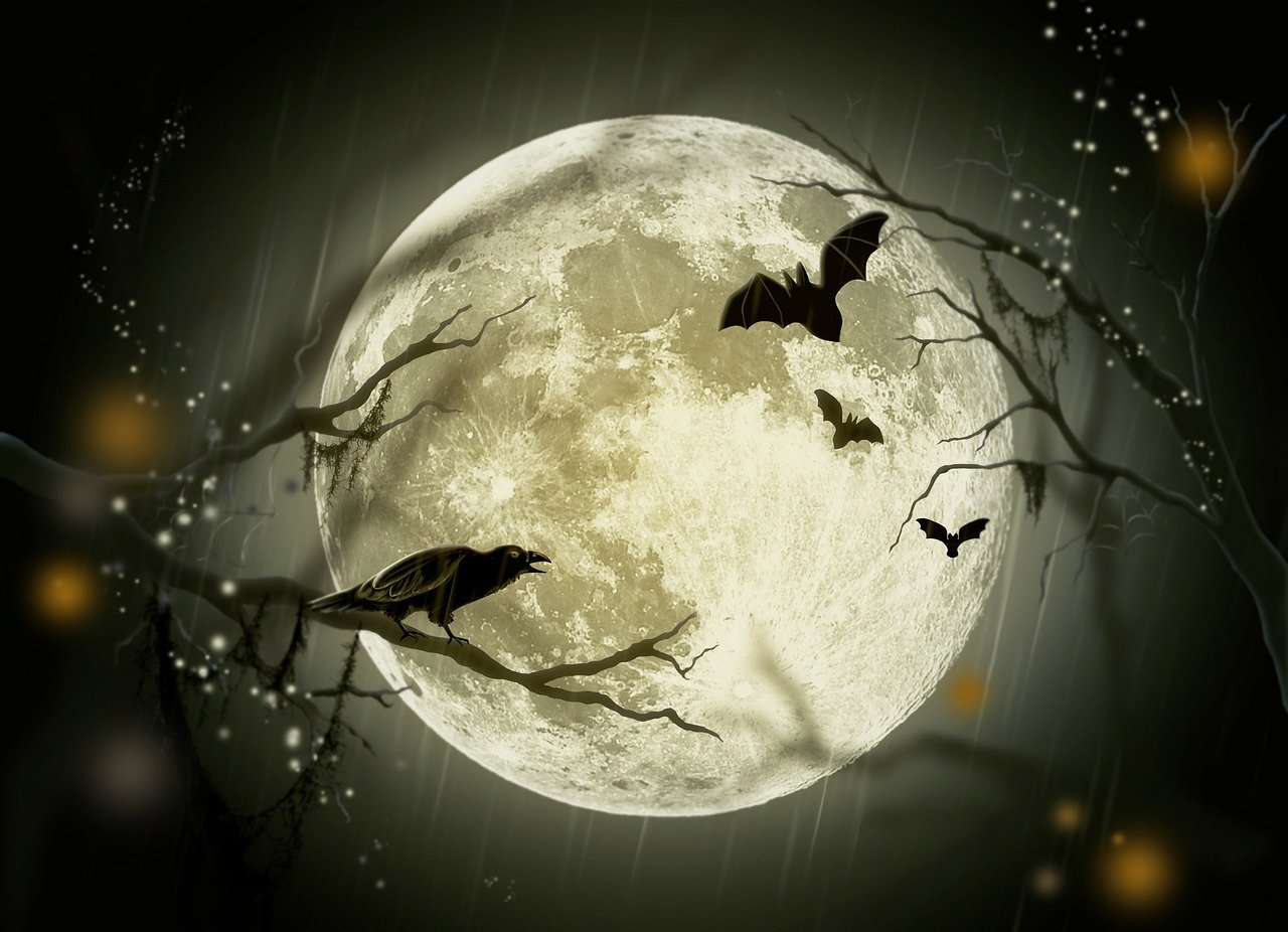 larisa-k-halloween-72939_1280