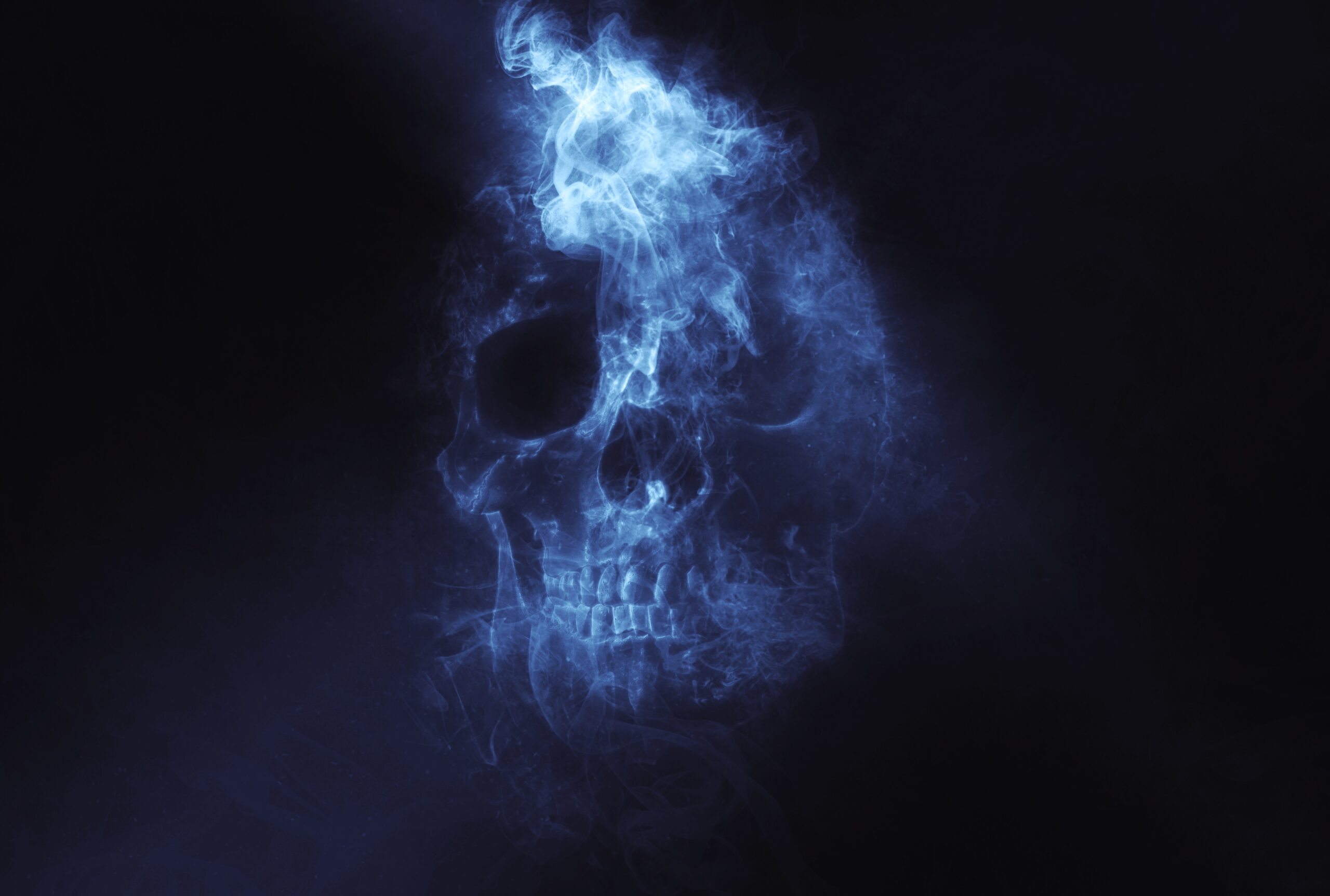 thedigitalartist-skull-3958436